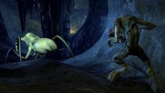 Half-Life 2: Episode 2 Screenshot # 16