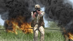 Armed Assault Screenshot # 19