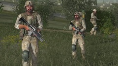 Armed Assault Screenshot # 9