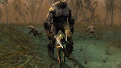 The Witcher Screenshot # 2