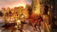 The Witcher Screenshot # 38