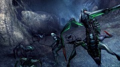 The Witcher Screenshot # 43