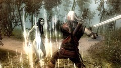 The Witcher Screenshot # 53