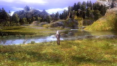 The Witcher Screenshot # 6