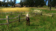 The Witcher Screenshot # 7