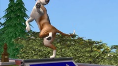 Die Sims Tiergeschichten Screenshot # 12
