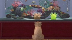Die Sims Tiergeschichten Screenshot # 8