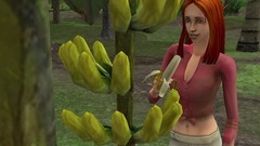 Die Sims Inselgeschichten Screenshot # 22