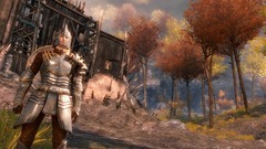 Guild Wars 2 Screenshot # 2