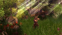 Die Siedler: Aufstieg eines Königreichs Screenshot # 8