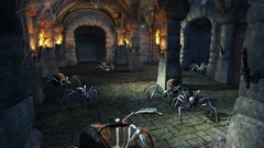 Das Schwarze Auge: Drakensang Screenshot # 2