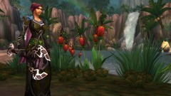 World of Warcraft: Wrath of the Lich King Screenshot # 15