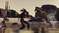 Borderlands Screenshot # 20