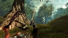 Divinity II: Ego Draconis Screenshot # 21