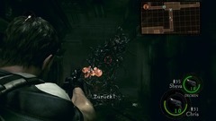 Resident Evil 5 Screenshot # 16