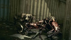 Resident Evil 5 Screenshot # 20