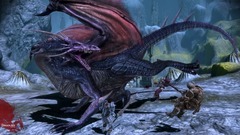 Dragon Age: Origins Screenshot # 11