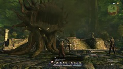 Final Fantasy XIV Screenshot # 5