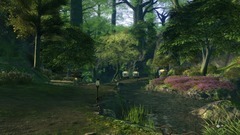 Final Fantasy XIV Screenshot # 6