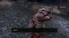 Fallout: New Vegas Screenshot # 18