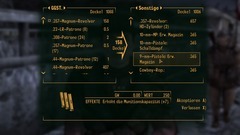 Fallout: New Vegas Screenshot # 39