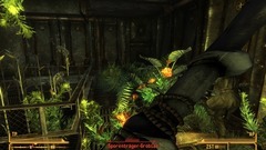 Fallout: New Vegas Screenshot # 63