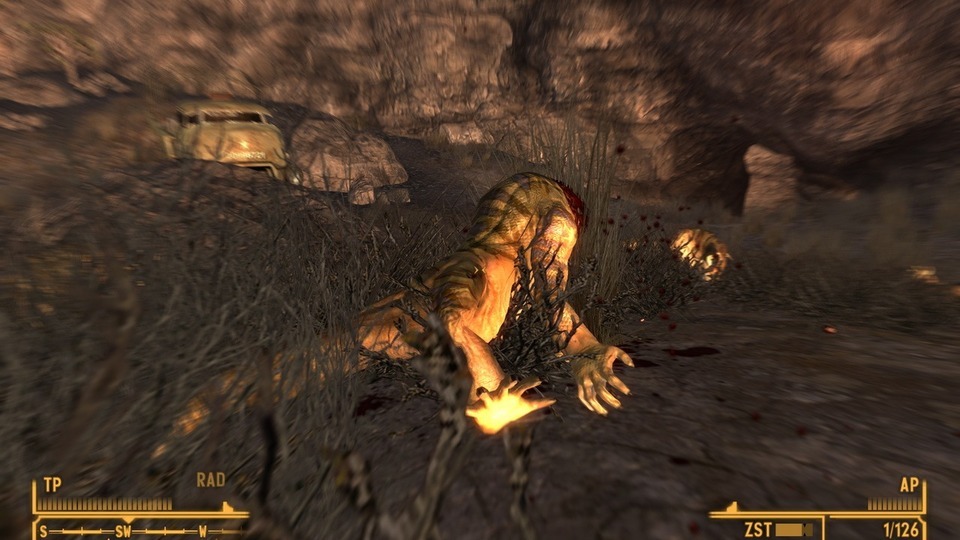 Dieser Ghekko konnte kein Köpfchen bewahren.