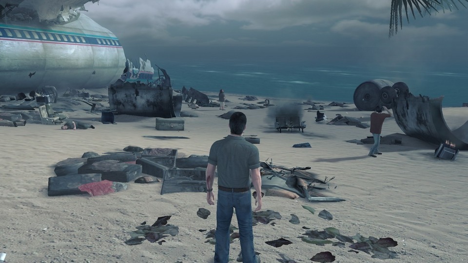 Das Flugzeugwrack am Strand der mysteriösen Insel