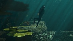 Grand Theft Auto V Screenshot # 12