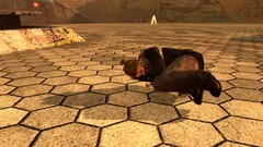Tony Hawk's Pro Skater HD Screenshot # 5