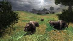 S.T.A.L.K.E.R. - Shadow of Chernobyl Screenshot # 18