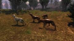 S.T.A.L.K.E.R. - Shadow of Chernobyl Screenshot # 19