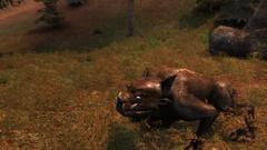 S.T.A.L.K.E.R. - Shadow of Chernobyl Screenshot # 9