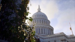 The Division 2 Screenshot # 6