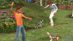 Die Sims 2: Haustiere Screenshot # 14