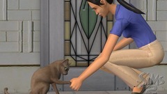 Die Sims 2: Haustiere Screenshot # 17
