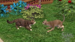 Die Sims 2: Haustiere Screenshot # 18