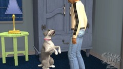 Die Sims 2: Haustiere Screenshot # 22