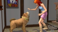 Die Sims 2: Haustiere Screenshot # 24
