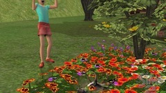 Die Sims 2: Haustiere Screenshot # 25