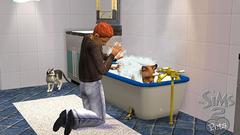 Die Sims 2: Haustiere Screenshot # 4