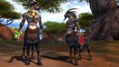 Guild Wars Nightfall Screenshot # 11