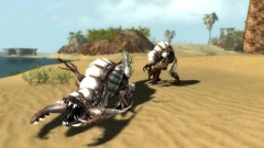 Guild Wars Nightfall Screenshot # 14