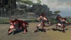 Guild Wars Nightfall Screenshot # 15